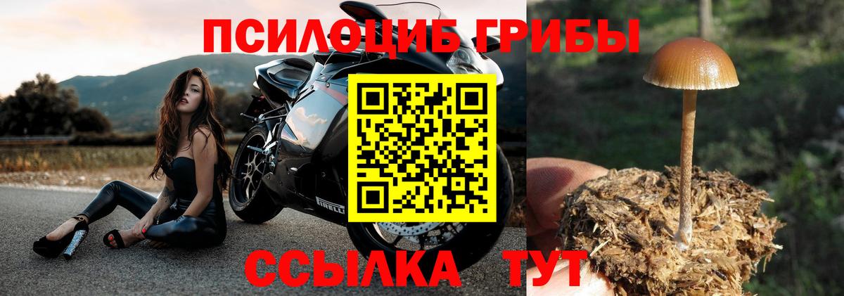 Псилоцибиновые грибы Magic Shrooms Салехард